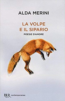 Libro La volpe e il sipario