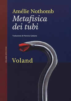 Libro Metafisica dei tubi