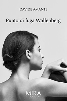 Libro Punto di fuga Wallenberg