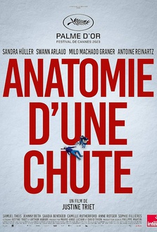 Film Anatomia di una caduta