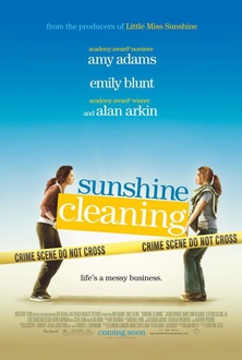 Film Sunshine Cleaning