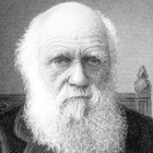 Immagine di Charles Robert Darwin