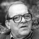 Frasi di Damiano Damiani