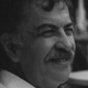 Frasi di Ferruccio Masini