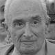 Frasi di Giovanni Sartori