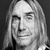 Frasi di Iggy Pop