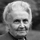 Frasi di Maria Montessori