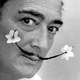 Frasi di Salvador Dalí