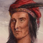 Immagine di Tecumseh