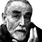 Immagine di Vittorio Gassman